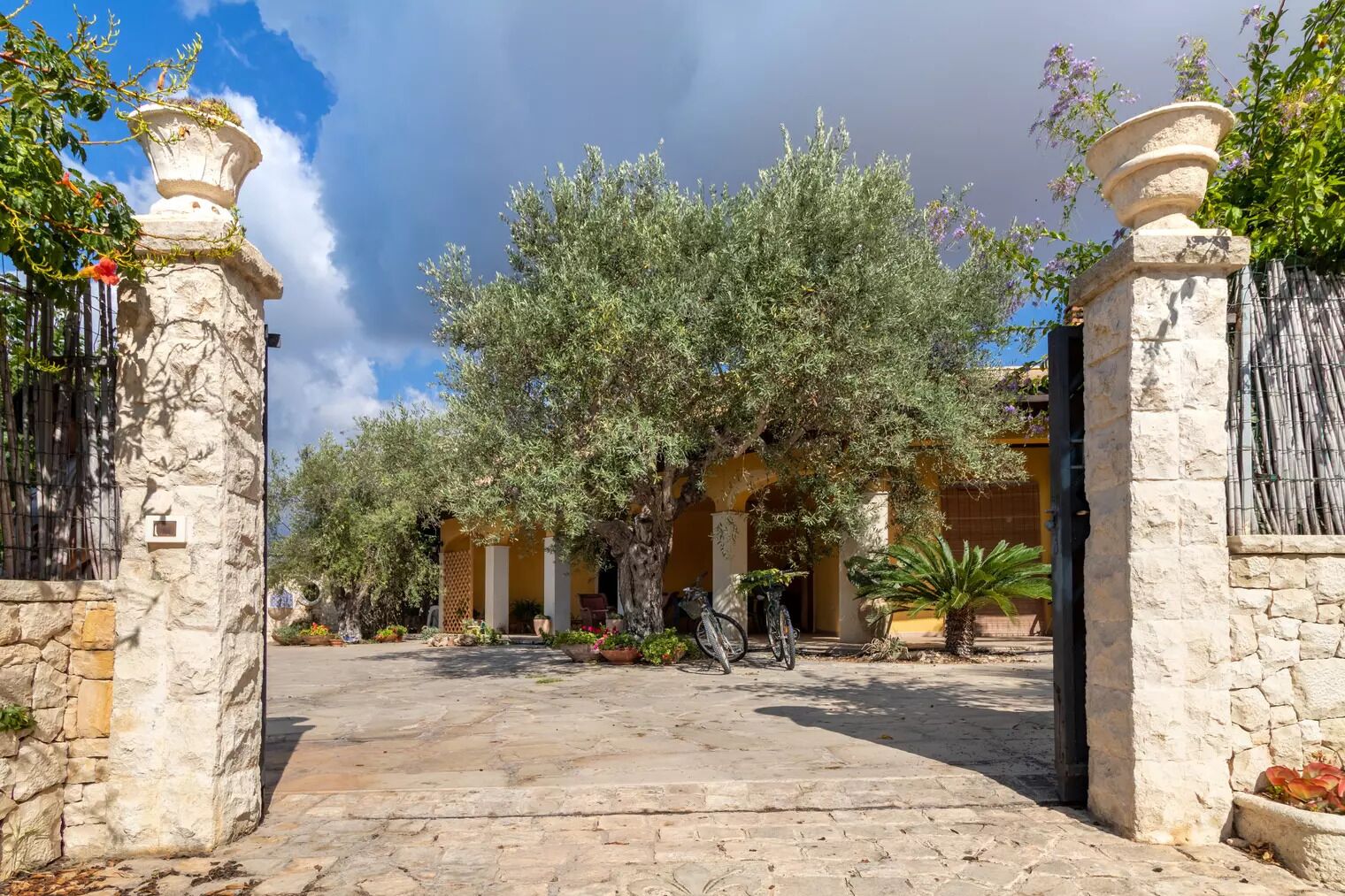 Overnattingsstedets uteområder