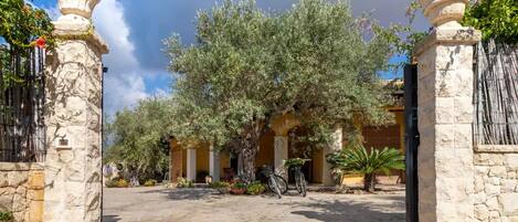 Overnattingsstedets uteområder