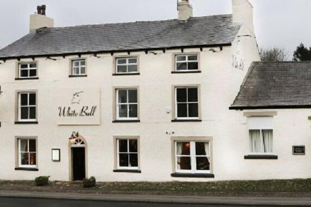 The White Bull