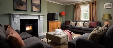 Smart TV, fireplace, stereo
