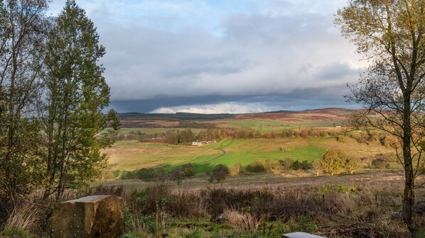 A rural landscape with rolling hills, a small house, and a stone wall.