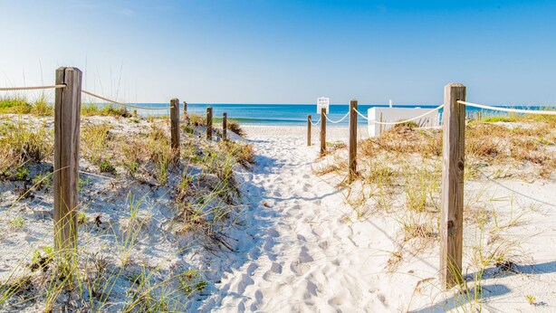 A sandy beach path leading to the ocean, marked by wooden posts and ropes. - Palm View | Serene Views, Cozy Interior, Near Area Fun! (Gulf Shores)