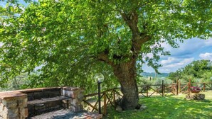 A stone barbecue grill under a large tree, surrounded by a wooden fence and lush greenery.