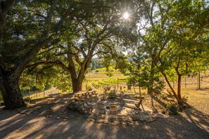 Property grounds - Dunning Ranch Guest Suite Two (Paso Robles)