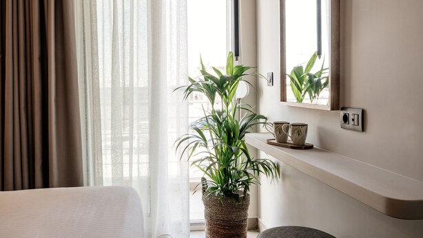 A hotel room with a bed, a potted plant, a window with sheer curtains, a mirror, and a shelf with cups. - Vinnies Homes (Heraklion)