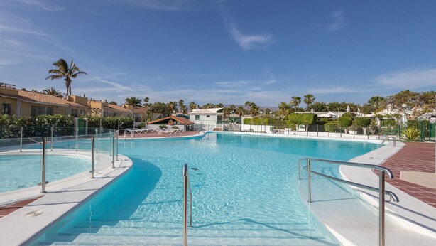 A large outdoor swimming pool with clear blue water, surrounded by palm trees and a clear sky.