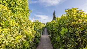 A pathway flanked by lush green hedges leading to a white structure in the distance.