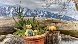 A potted plant with a teddy bear and a pumpkin on a wooden surface with a mountain backdrop. - Ferienwohnung Plattner by Interhome (Ötz)