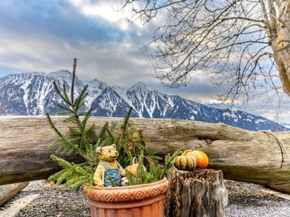 A potted plant with a teddy bear and a pumpkin on a wooden surface with a mountain backdrop.