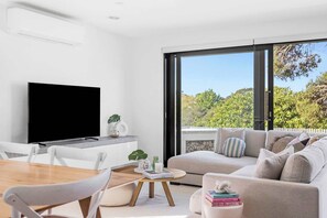 TV, Netflix, DVD player, streaming services