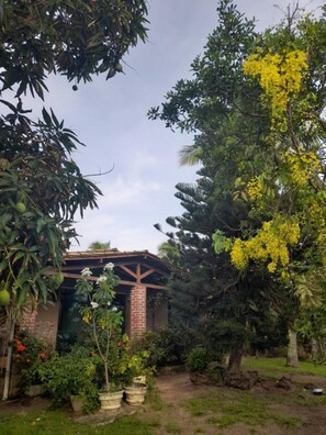 Property grounds - Casa Club Ipitanga (Lauro de Freitas)