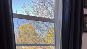 A window with a view of trees and a white air conditioning unit below it. - Riverview charming apt near beach (Ipswich)