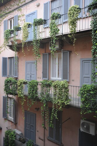 Ivy house 