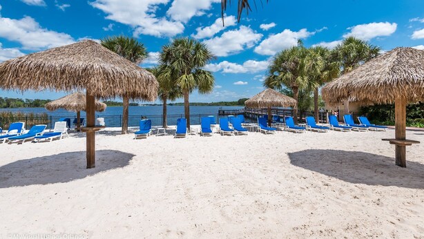 A beach with thatched umbrellas, blue lounge chairs, and palm trees. - Bahama Bay - Minutes from Disney Theme Parks! (Davenport)