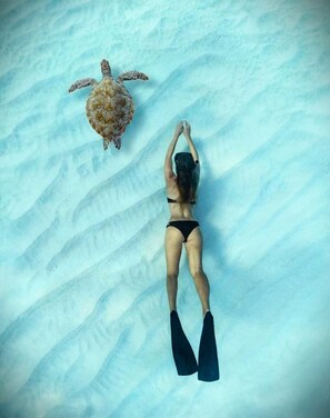 Beach/ocean view - Oceana Inn Maldives (Kudahuvadhoo)
