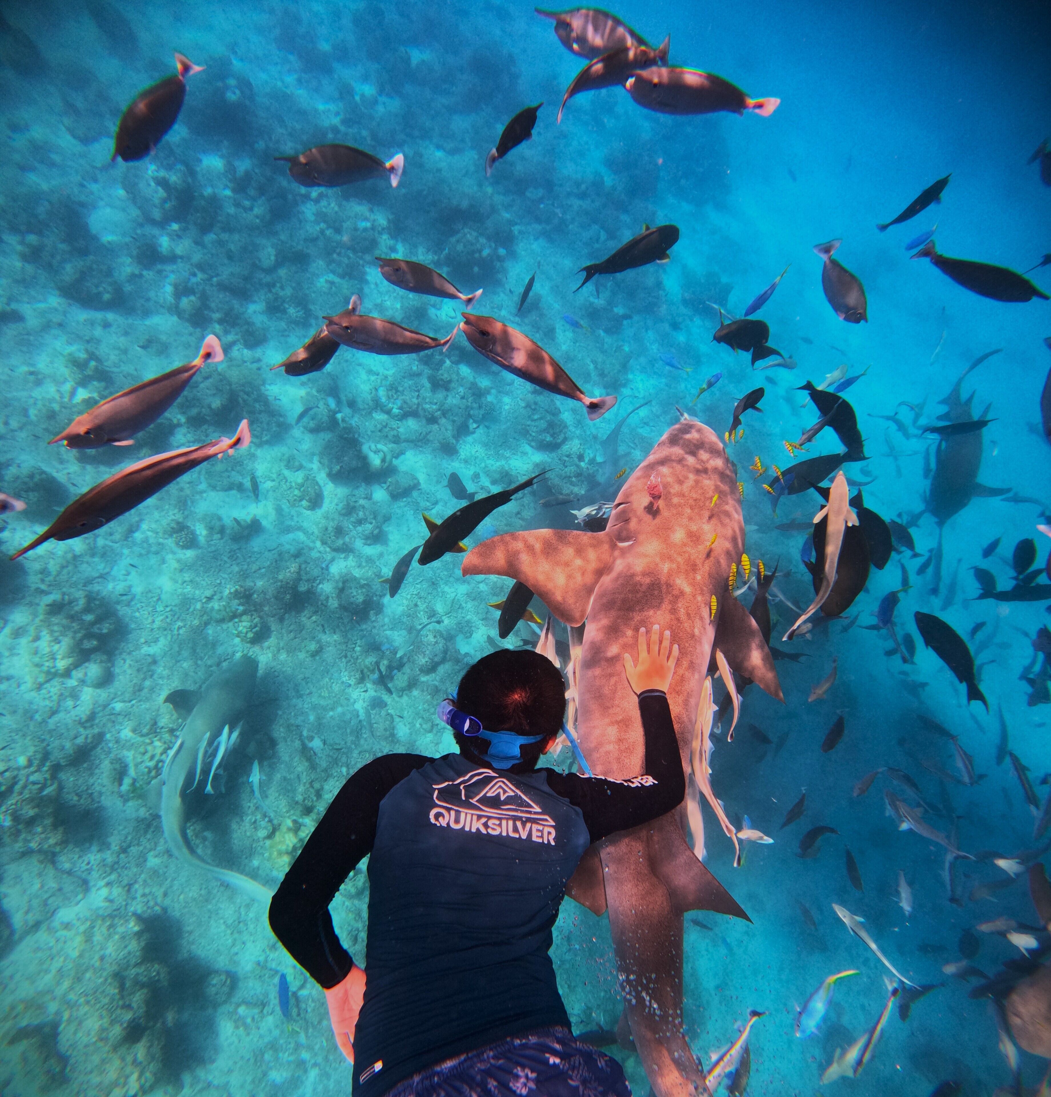 Photo - Oceana Inn Maldives -Free airport assistance at both international and domestic airports