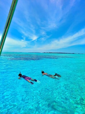 บริเวณภายนอก