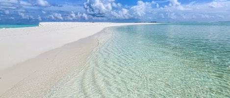Beach nearby, white sand, free beach shuttle, beach umbrellas