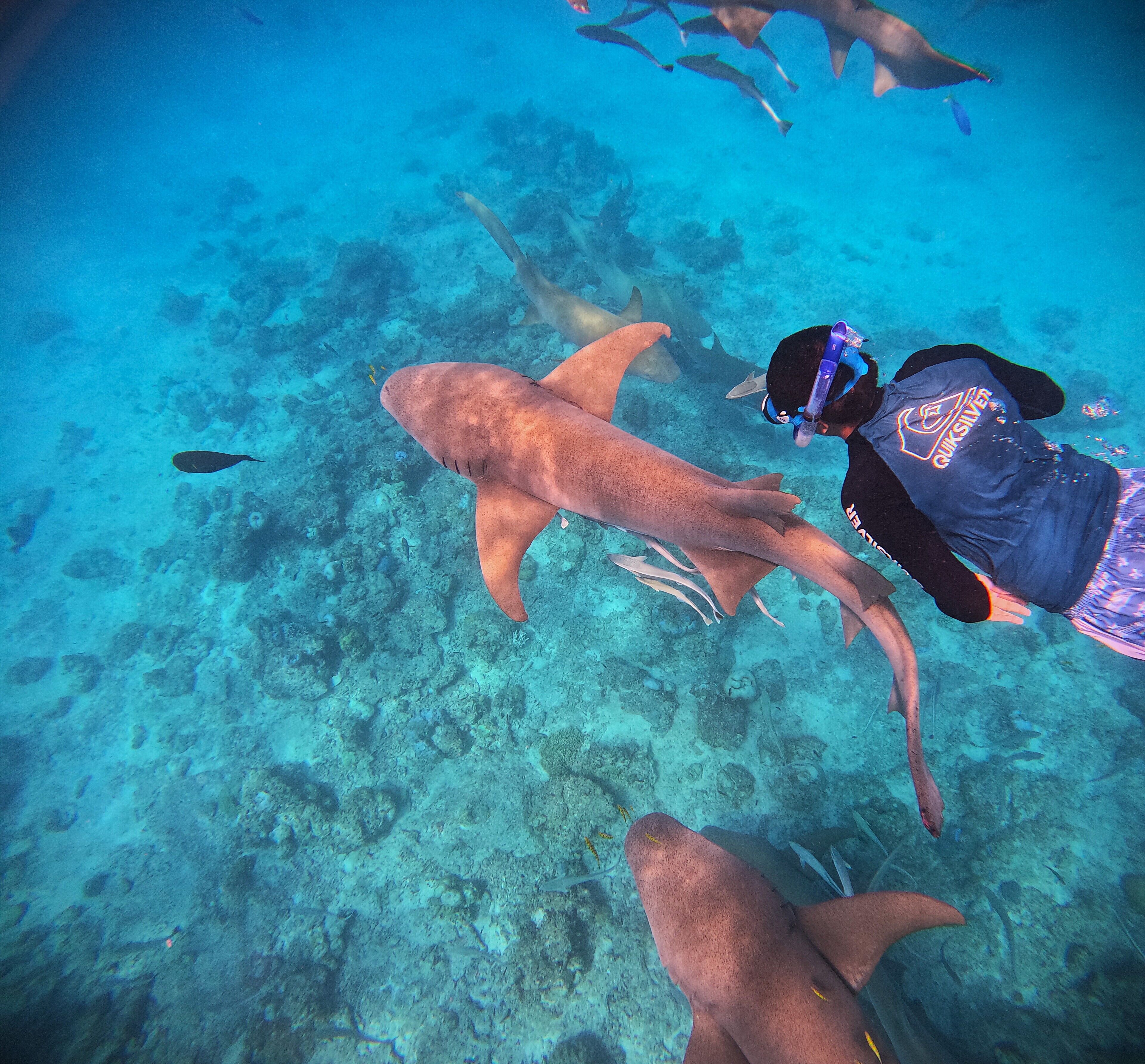 Foto - Oceana Inn Maldives -50 Percent off on Return Domestic Flights for Stays of 3 Nights or More