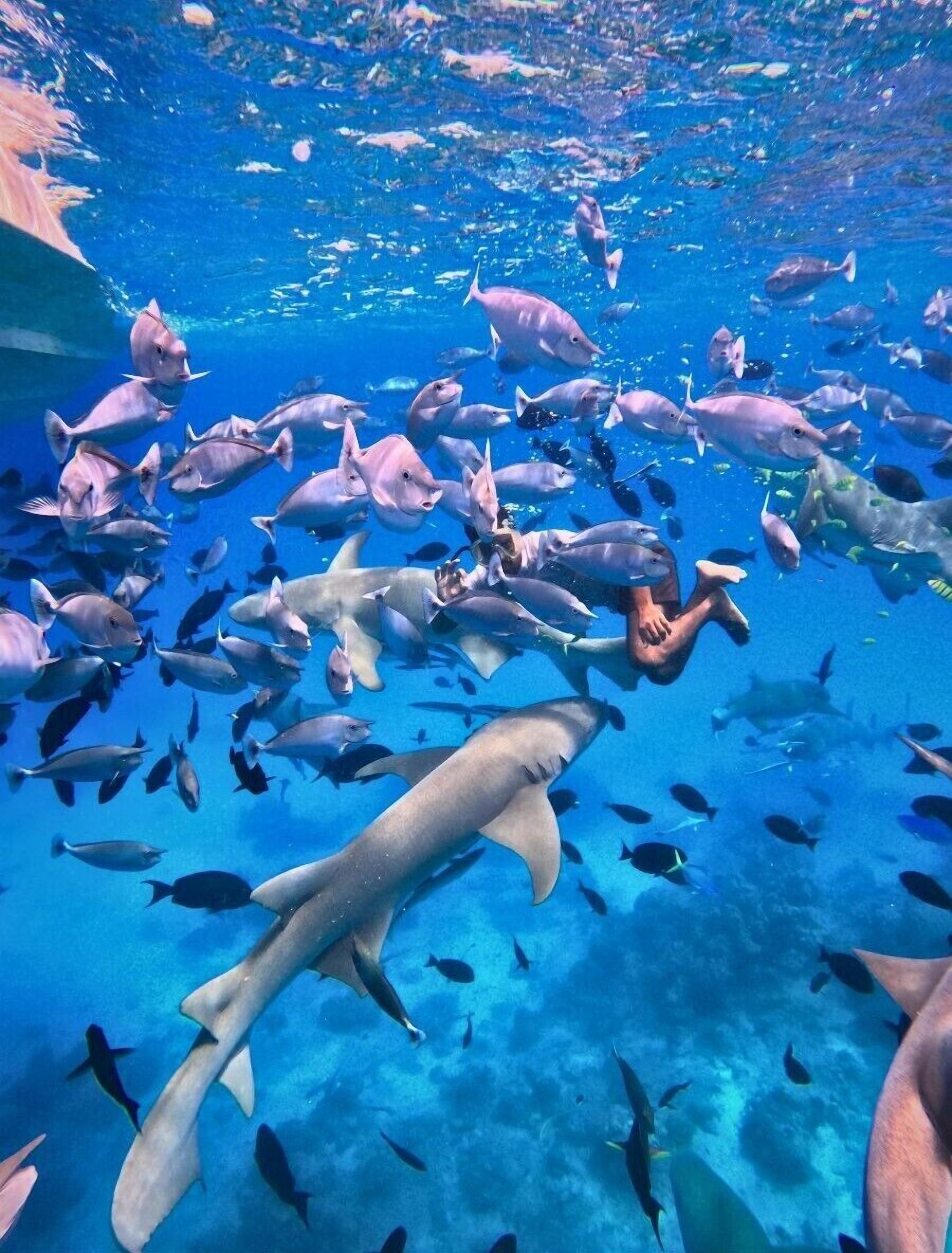 Foto - Oceana Inn Maldives -50 Percent off on Return Domestic Flights for Stays of 3 Nights or More