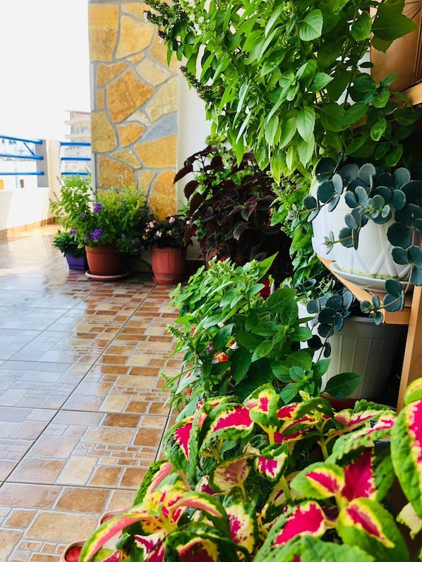 Iron/ironing board, free WiFi