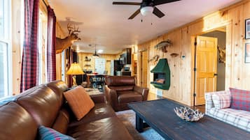 TV connectée, cheminée, jeux vidéo, lecteur de DVD