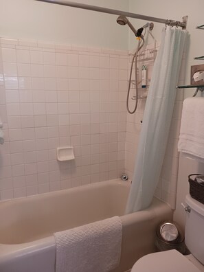 Hair dryer, towels, soap, shampoo