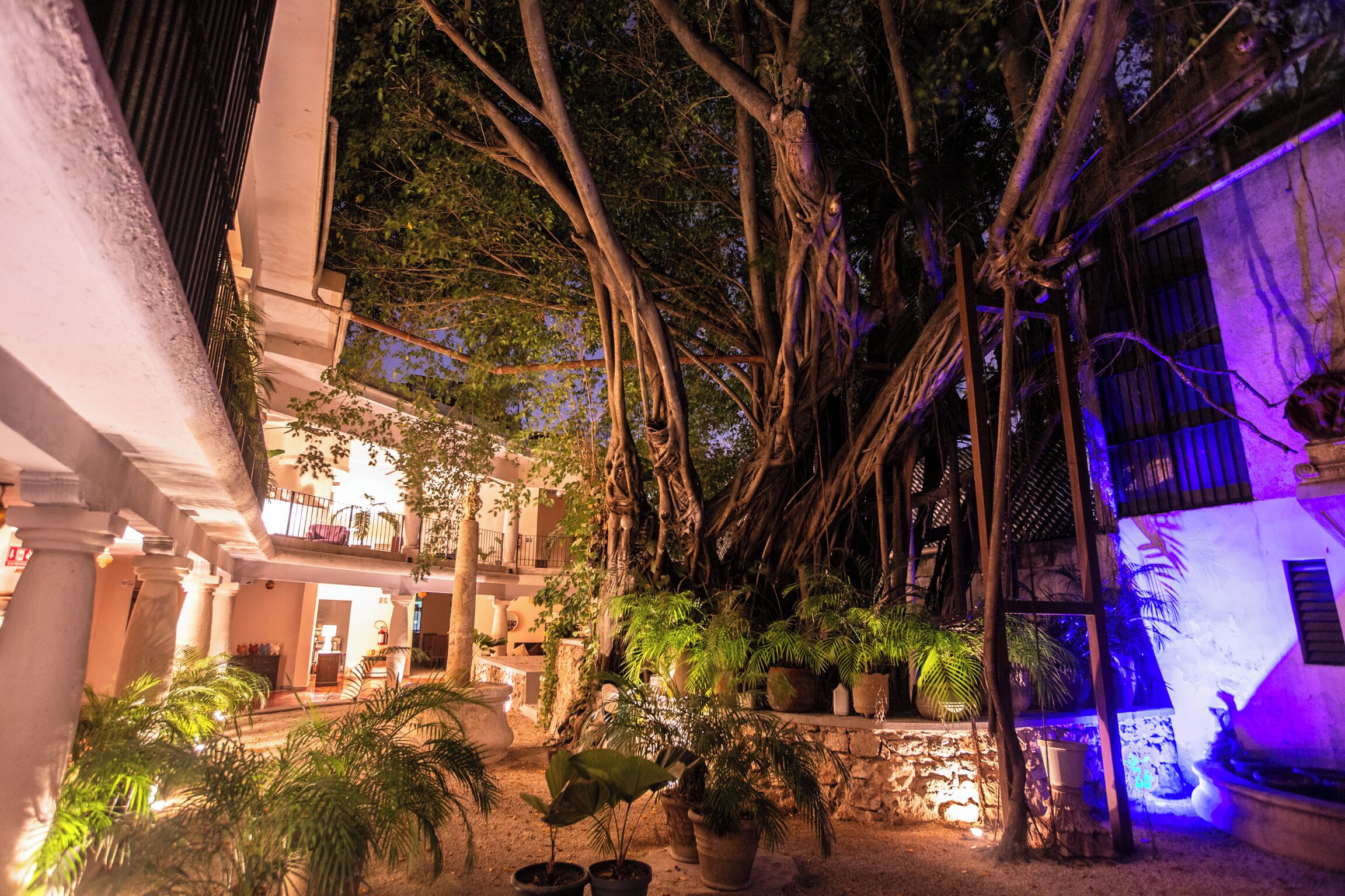 Foto - Acqua In Bocca