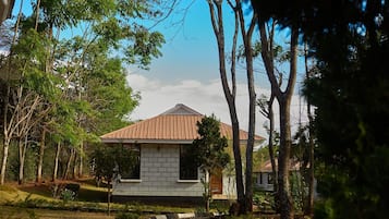 Comfort Triple Room | Desk, laptop workspace, free WiFi, bed sheets
