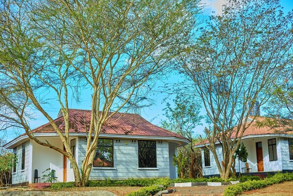 Comfort Cottage, Accessible | Desk, laptop workspace, free WiFi, bed sheets - Ngorongoro Corridor Lodge (Karatu)