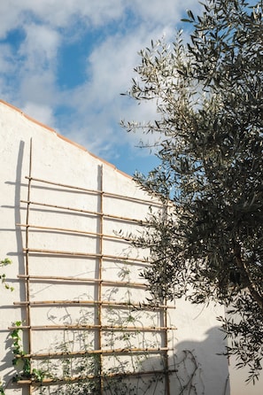 Un enrejado de bambú junto a una pared con plantas trepadoras.