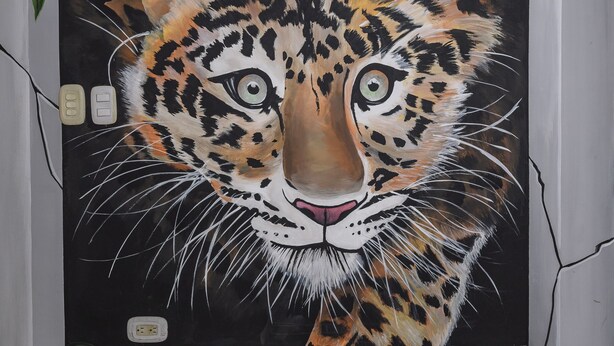 A painting of a leopard's face on a wall. - Macondo Hostel (Santa Marta)