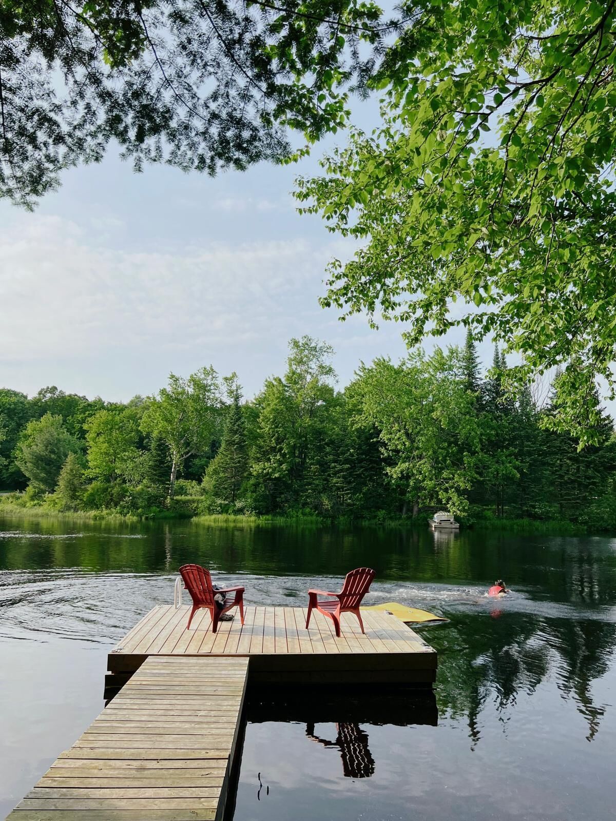 Newly Renovated Cottage in the Heart of Muskoka