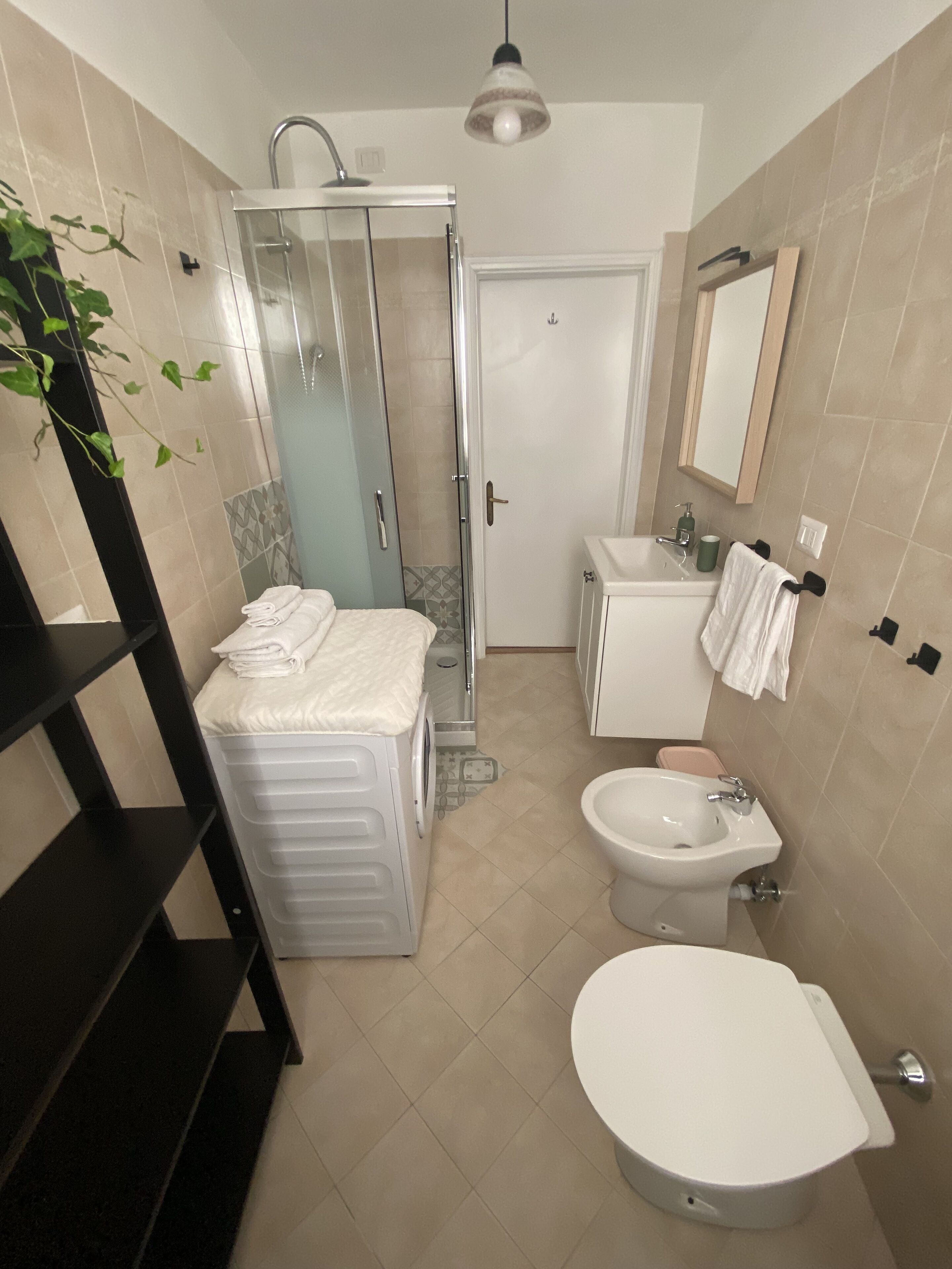 Shower, hair dryer, bidet, towels