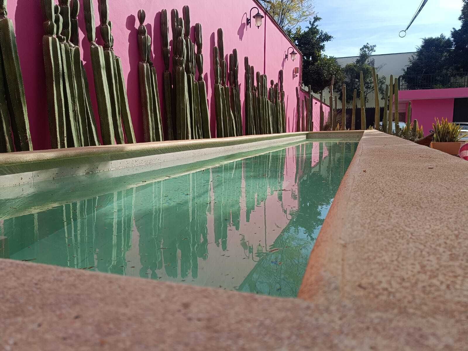 A pool with a pink wall and cacti in the background.