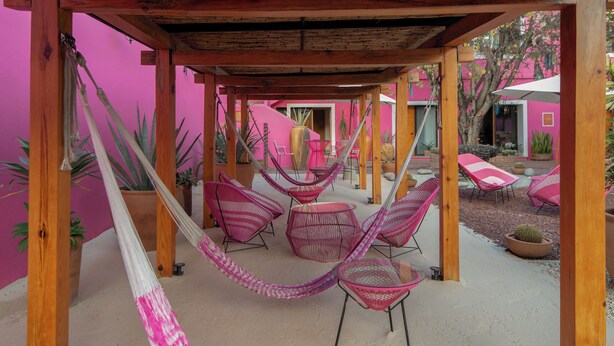 A covered outdoor seating area with hammocks, chairs, and potted plants. - Casa Rosamate (Oaxaca)