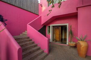 Una escalera rosa que conduce a una puerta, una planta en maceta y un suelo de baldosas.