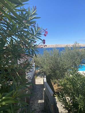 Terrain de l’hébergement 