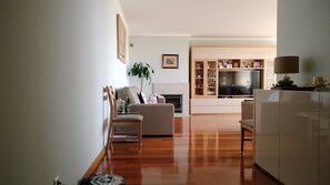 Smart TV, fireplace, books