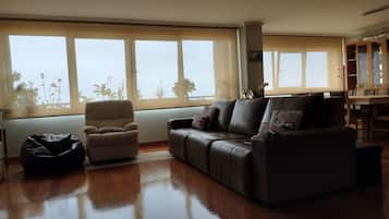 Smart TV, fireplace, books