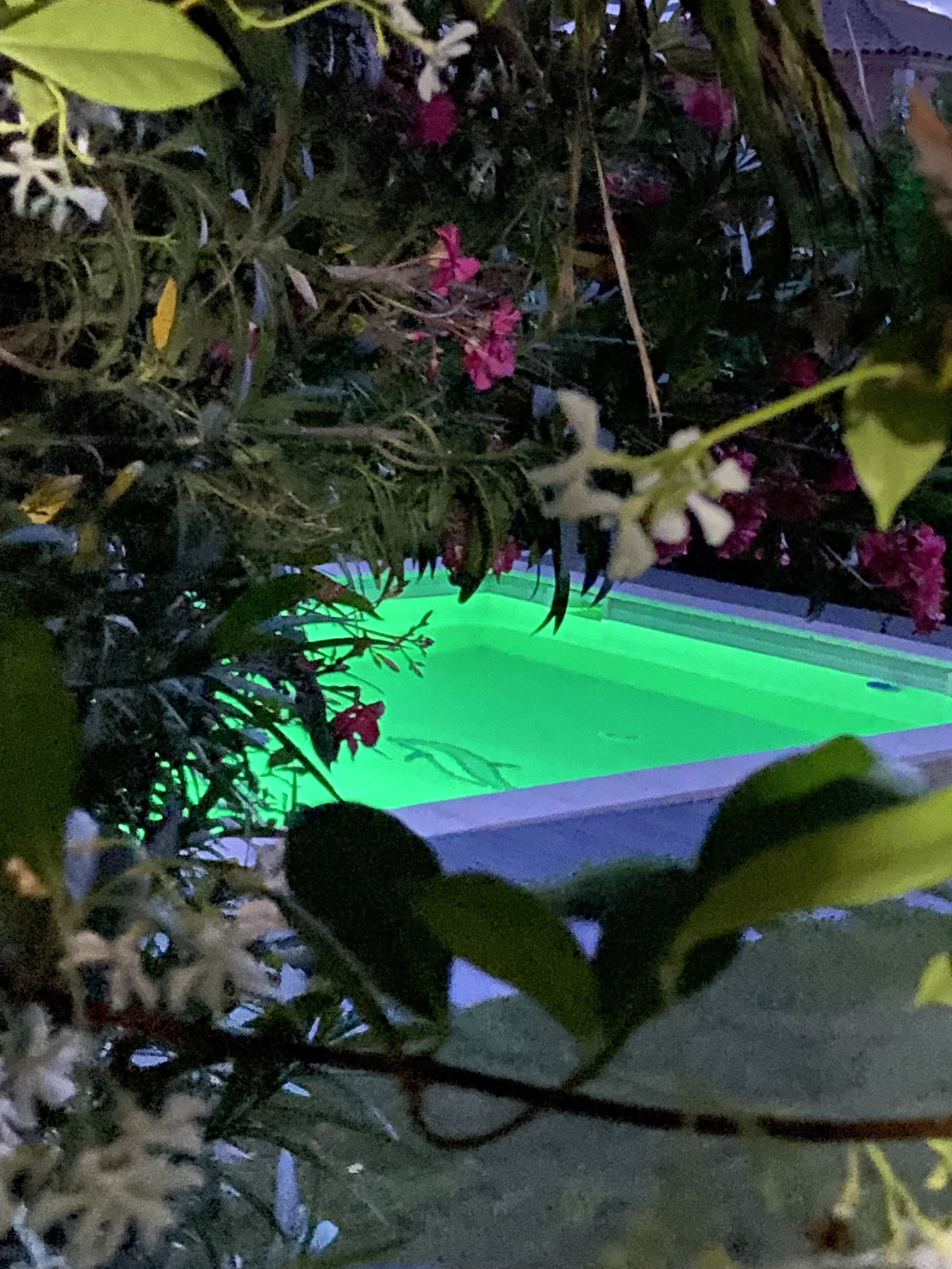 lemodernlounge, cozy garden level near Bassin de Thau, SETE and the beaches