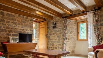 Televisión, chimenea y libros