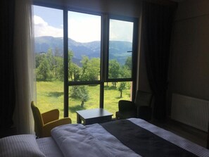 Basic Room, 1 Bedroom