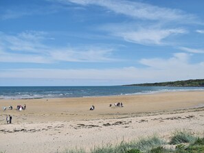 صيد الأسماك