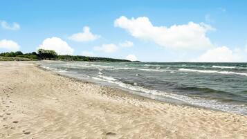 Playa en los alrededores