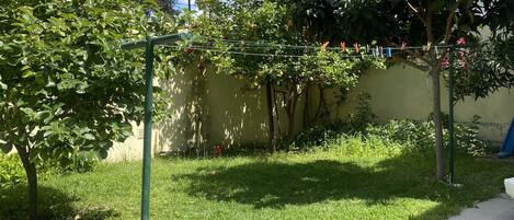 A courtyard with a grassy area, a metal clothesline, and a tiled pathway.