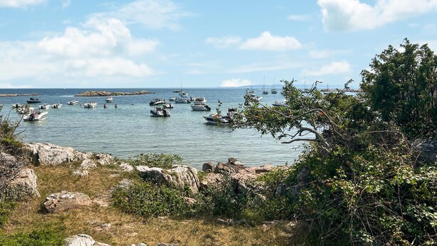 Un paysage côtier avec de nombreux bateaux ancrés dans des eaux calmes, entourés d’un terrain rocheux et d’une végétation luxuriante.