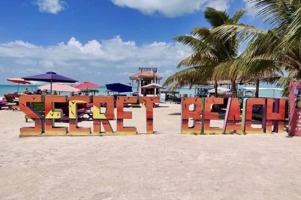 Mr. Ed's Adventures Belize
