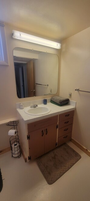 Hair dryer, towels, soap, shampoo - Big, Comfy Home near Parks and UW East Campus (Laramie)