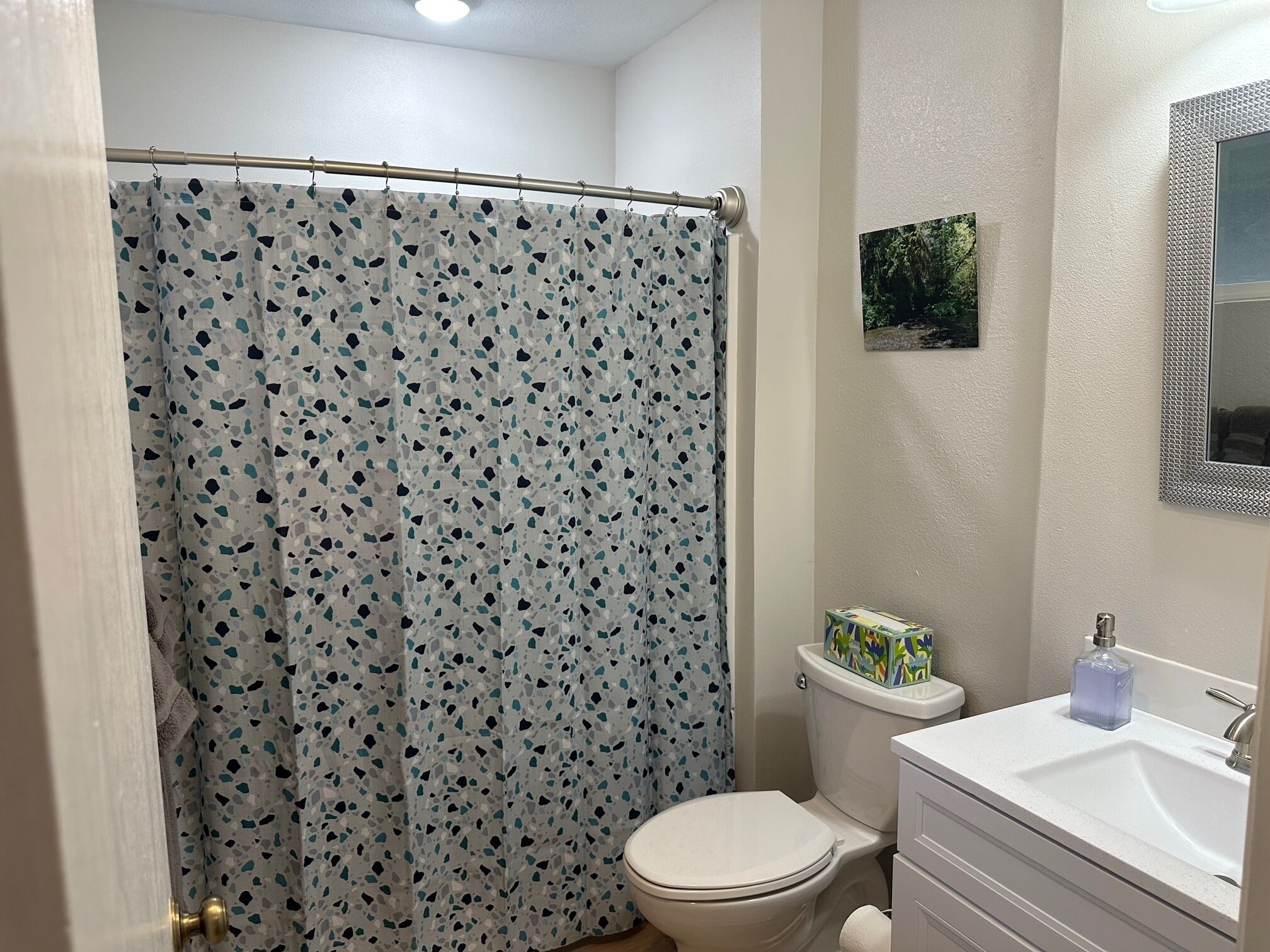 Hair dryer, towels, soap, toilet paper